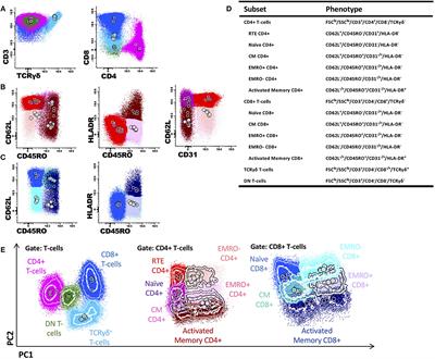 EuroFlow Standardized Approach to Diagnostic Immunopheneotyping of Severe PID in Newborns and Young Children